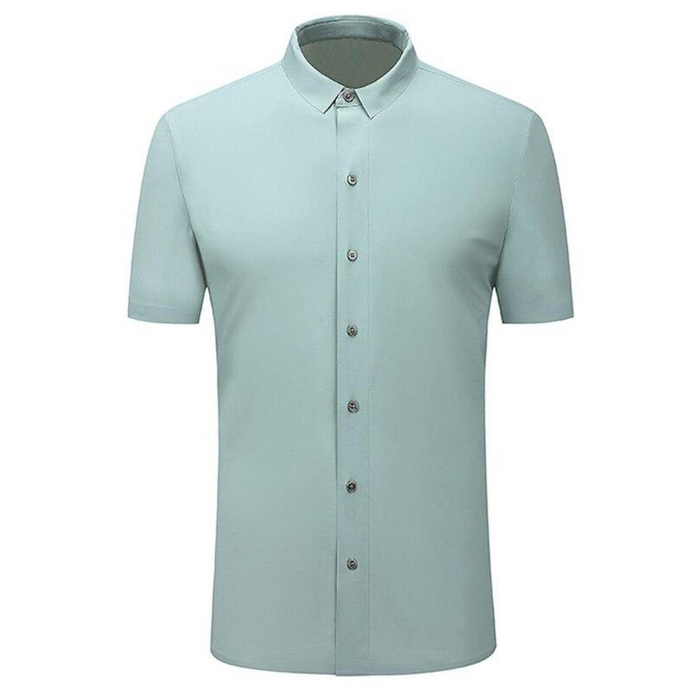 Sukienka Polo Fashion Shirt