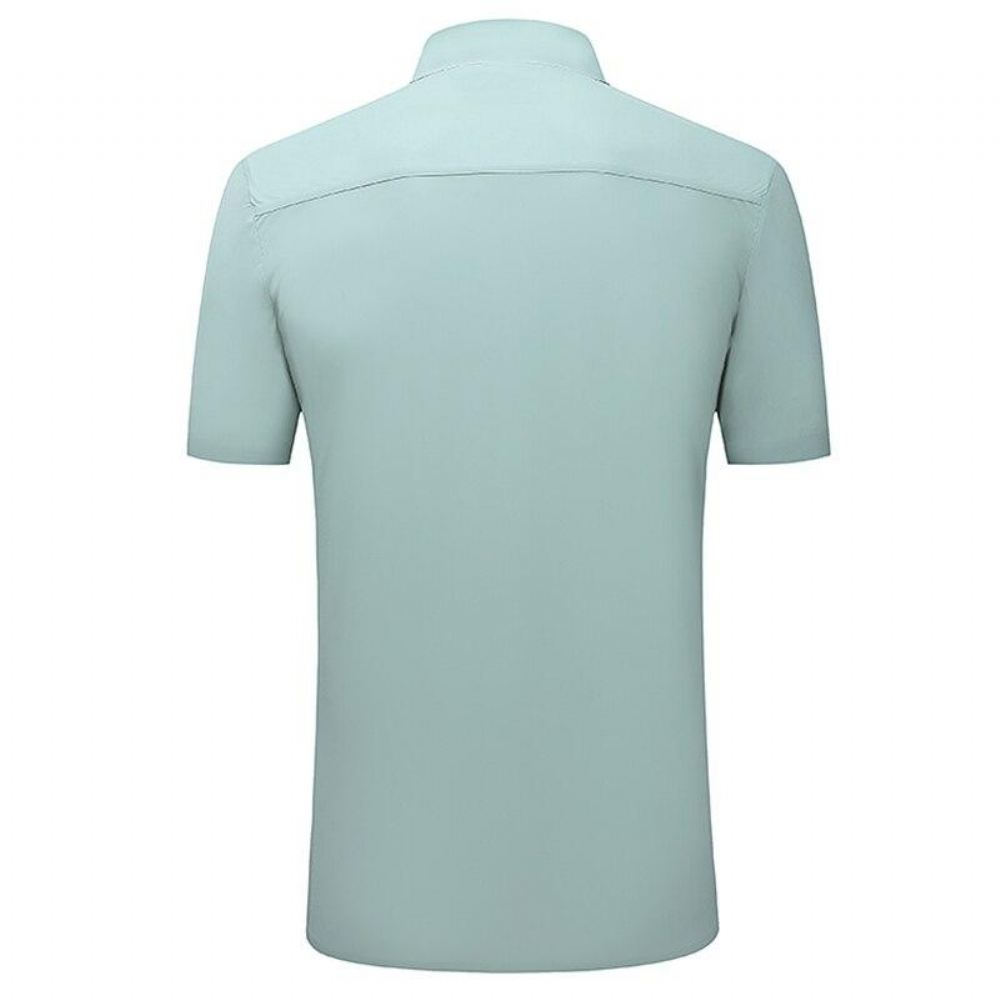 Sukienka Polo Fashion Shirt