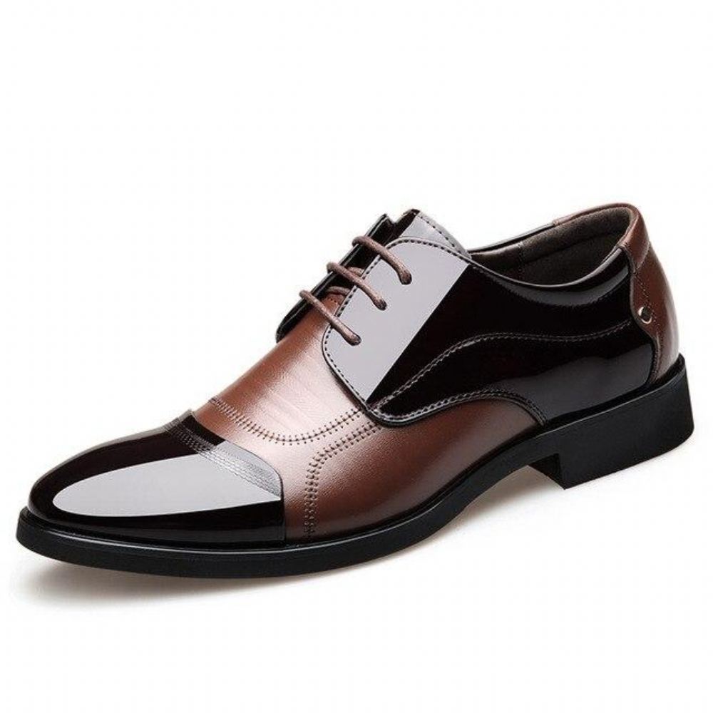 Mieszkania Zip Business Oxford